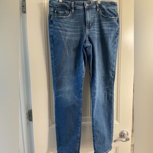 American Eagle Outfitters Blue Skinny Jeans